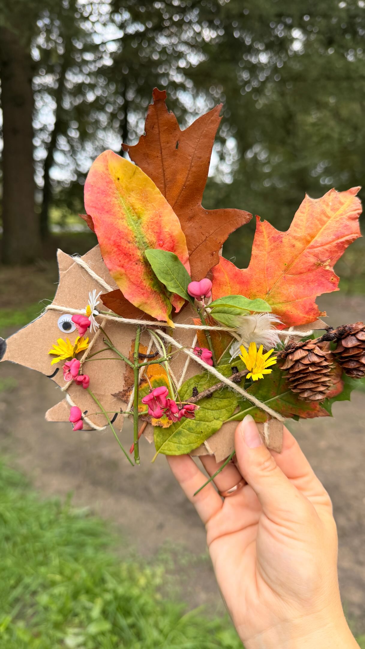 „Oma, guck mal!“ 🥹🦔🍂

Wir waren gestern mit den Kindern im Wald und hatten unseren kleinen Pappigel dabei. Die Idee war ganz einfach: Wir wollten ihn mit allem füttern, was wir im Wald finden. 🍁🍃

Die Kleinen fanden das richtig spannend. Jede Blume, jedes Blatt und jede Eichel wurde ganz genau angeschaut und überlegt, ob sie wohl in den Igel passt. 🌿🌼

Unser geplanter Weg musste allerdings ziemlich schnell geändert werden, denn dort lag eine tote Maus. Und sagen wir mal so: Für mindestens ein Kind war der Waldspaziergang damit offiziell beendet – ab da ging es nur noch auf Omas Arm weiter. 😂🐭

Blumen pflücken und Schaukeln waren dann zum Glück wieder echte Highlights. Auch die ganzen Eicheln mit Hütchen, die wir gefunden haben, mussten natürlich unbedingt mit nach Hause – auch wenn sie am Ende leider nicht in den Igel gepasst haben. 🤭

Eine super einfache und wirklich süße Idee für einen Waldspaziergang mit kleinen Kindern – inklusive kleiner Planänderungen, Oma-Taxi und jeder Menge Waldschätze. 🤎

Vielleicht habt ihr beim nächsten Waldspaziergang ja auch Lust, einen kleinen Pappigel mitzunehmen. 🦔🍂

#kreativfreundin #bastelnmitkindern #herbstbasteln #diyherbstdeko #kleinkindbeschäftigung